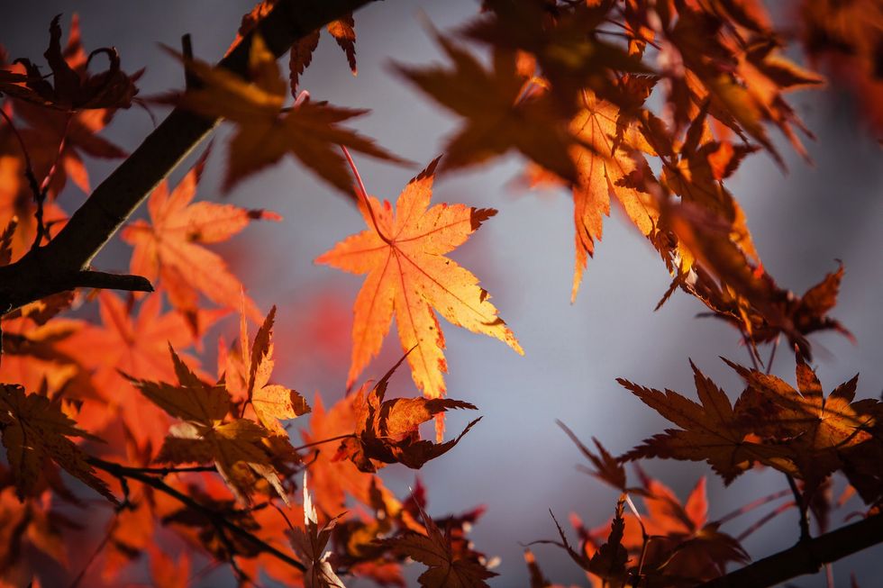 17 Reasons Why Fall Reigns Supreme