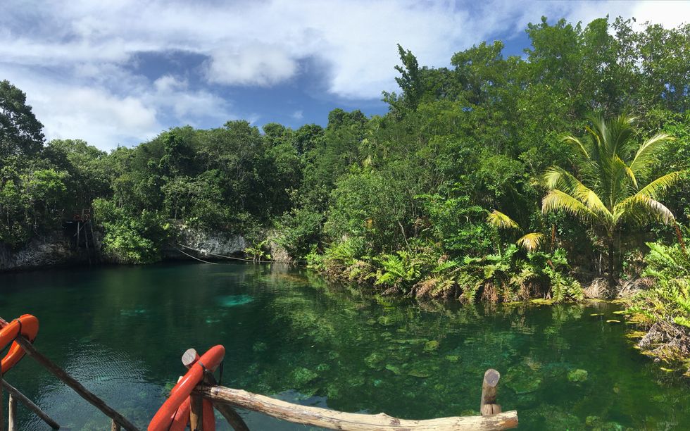 Travel Destination: Mexico's Cenotes
