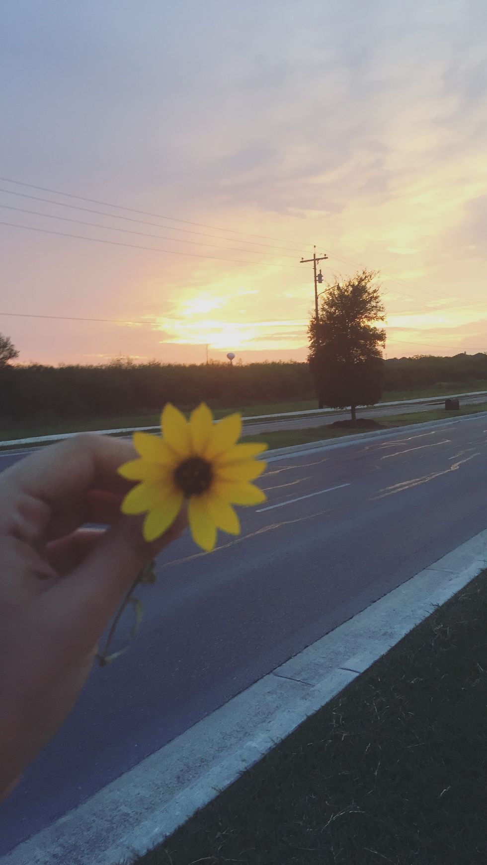 Singleness: A Time To Pursue God