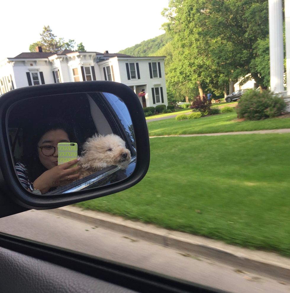 10 Reasons Why Dogs Are The Best Things Ever