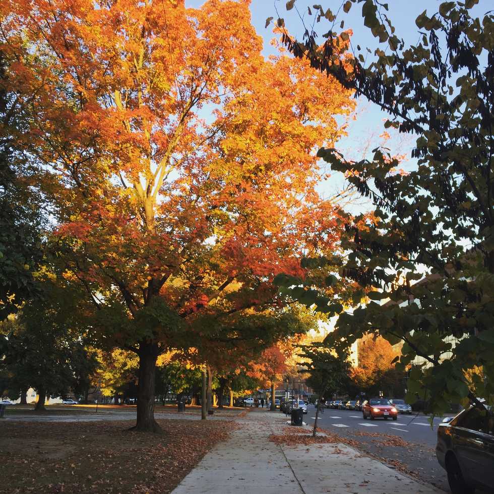 5 Things I Wish Someone Had Told Me Before I Started My Freshman Year Of College.