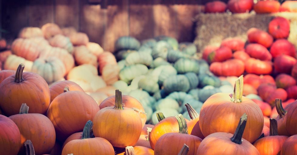 10 Fall Aesthetics To Get You Through the School Day