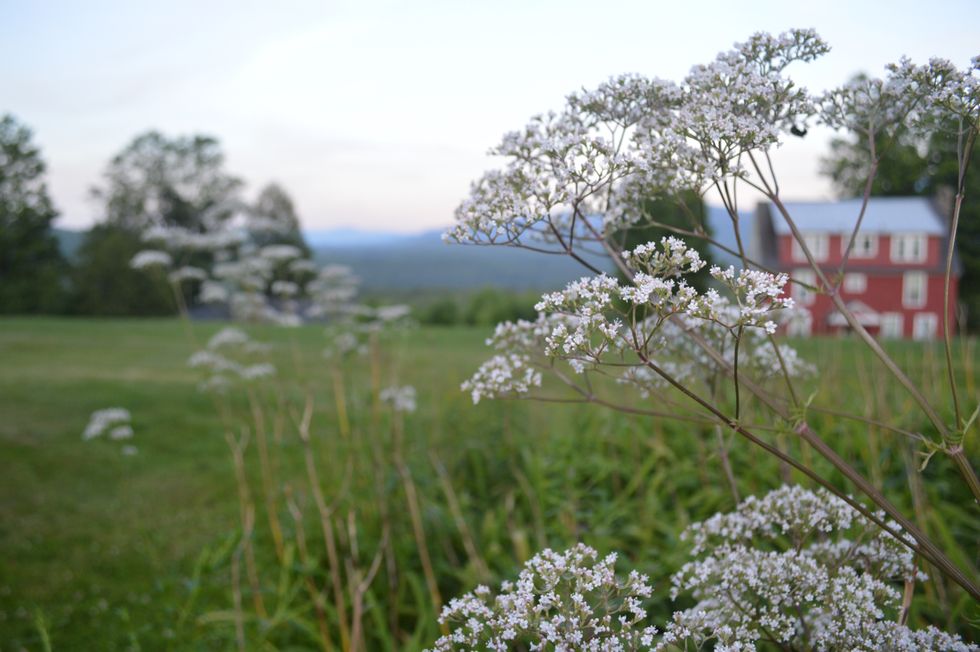 Summer Time Doesn't Last Forever