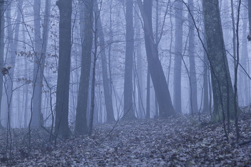 Living Amongst Monsters