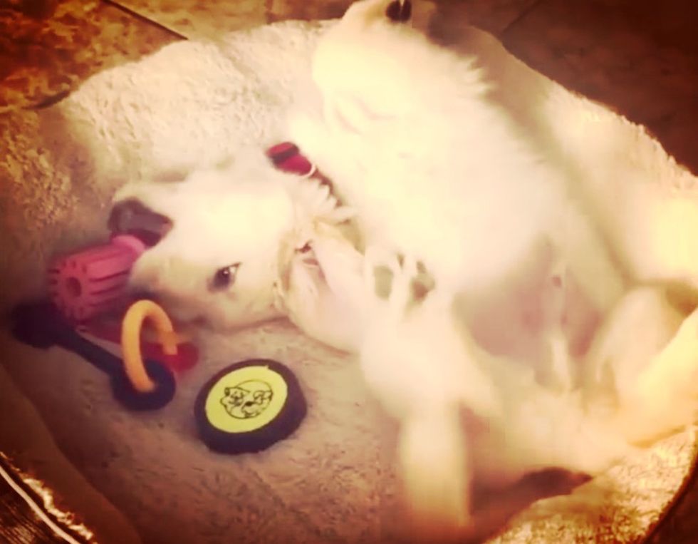 10 Stress Relievers That Take Under 30 Minutes