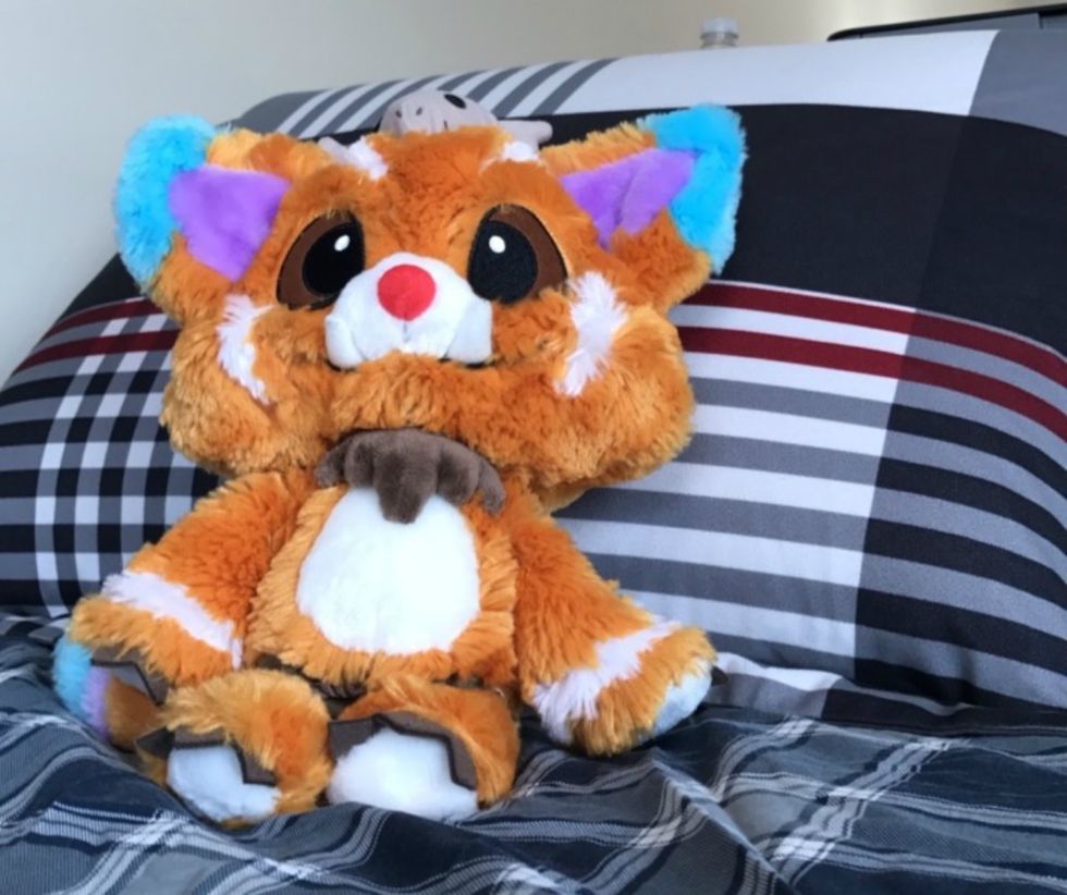 Yes, I'm A College Guy With A Stuffed Animal, And Here's Why
