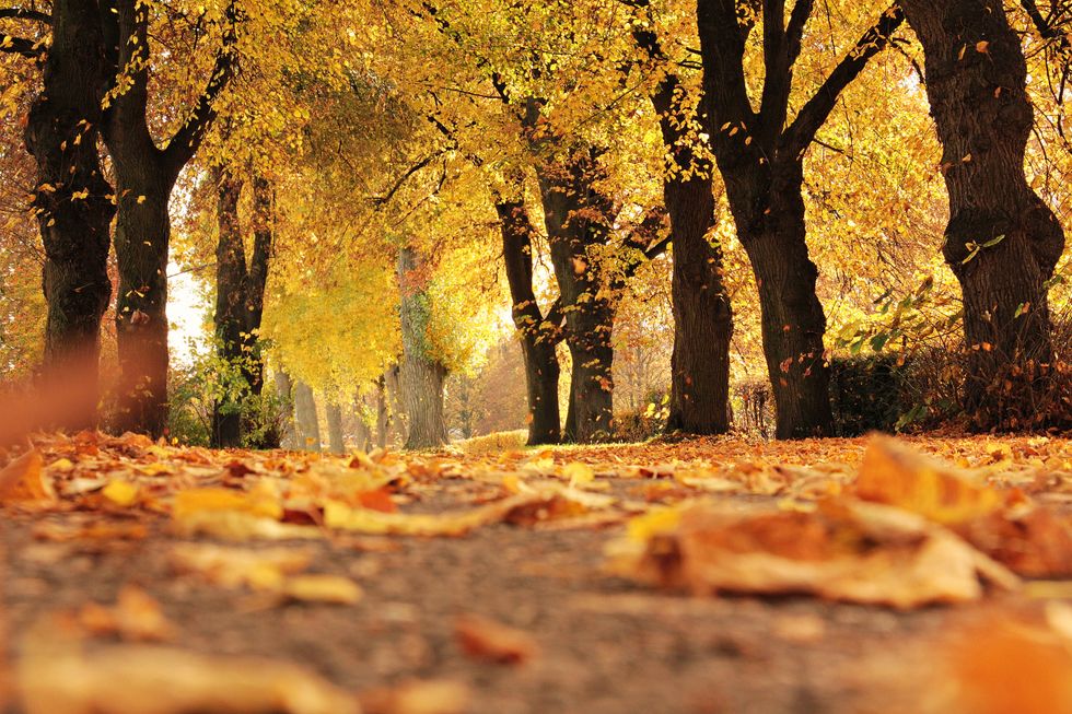 8 Reasons To Love The Fall