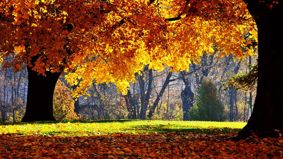 10 Things You Can Only Do In The Fall