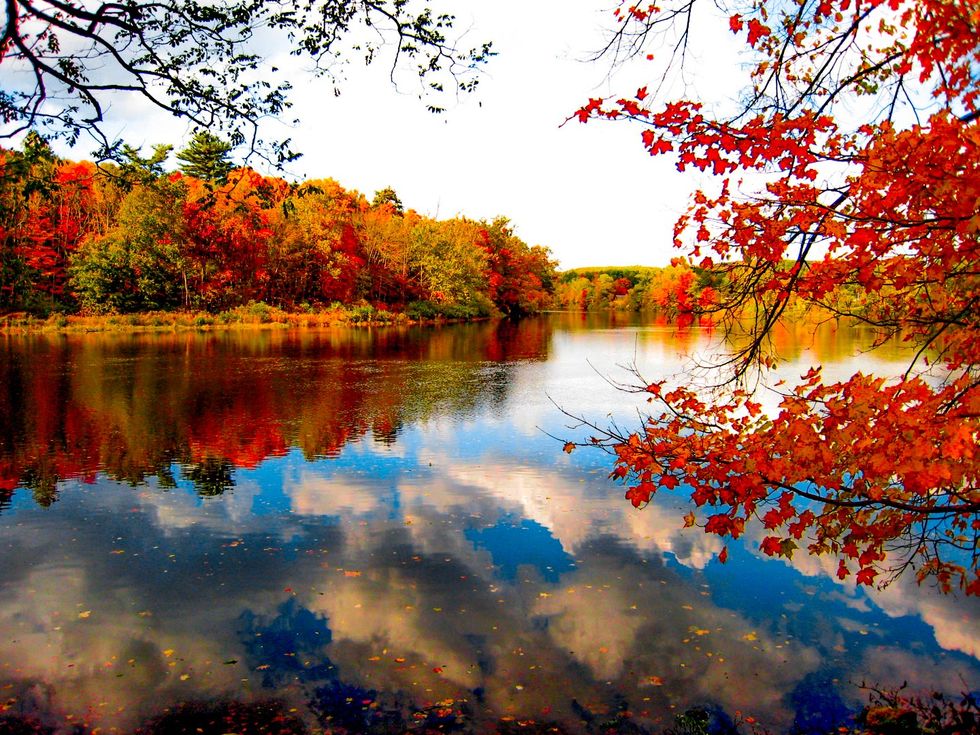 12 Signs You Grew Up in Southern Connecticut