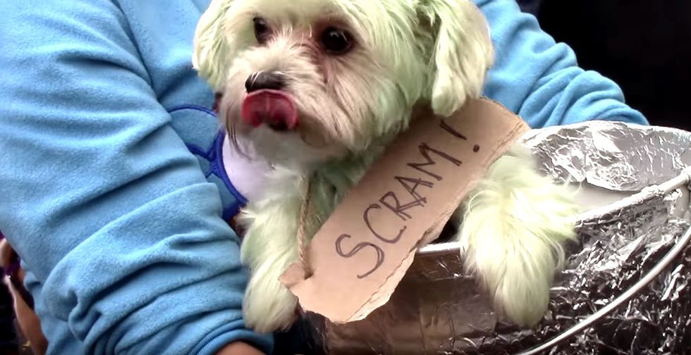 How To Fully Embrace Fall In New York City