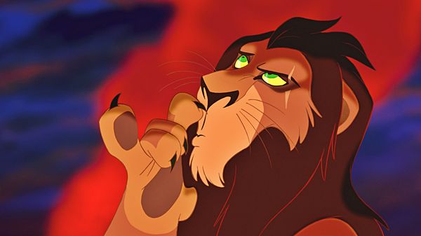 The Stories Behind Scars