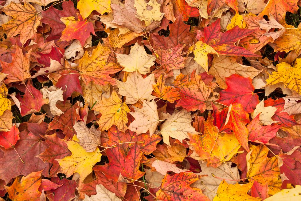 11 Reasons To Get Excited For Fall