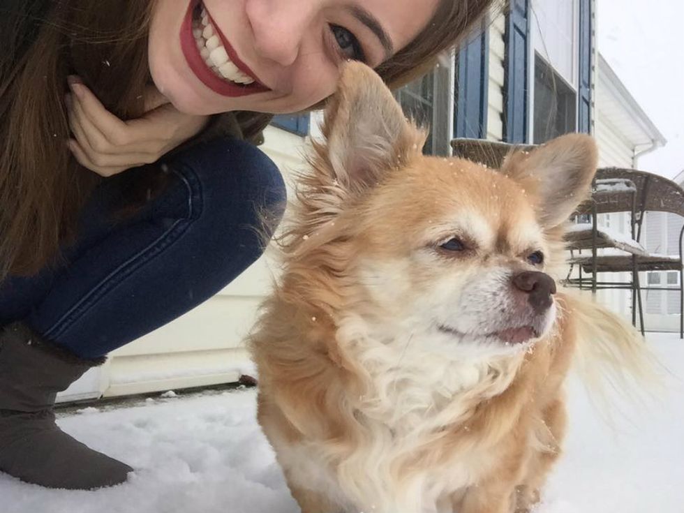 An Open Letter To My Dog