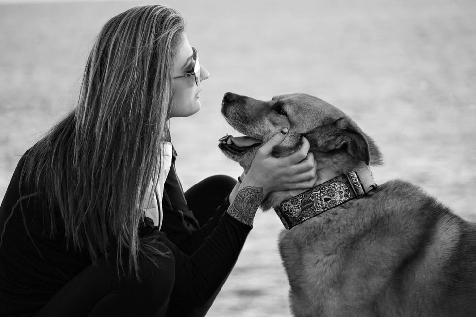 9 Reasons Why Having A Dog Will Change Your Life