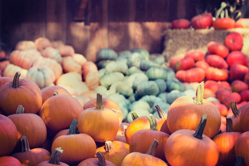 6 Things Everyone Looks Forward To In The Fall