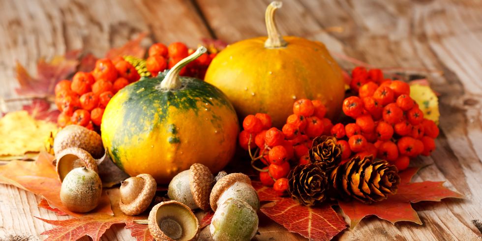 7 Awesome Fall Food Creations