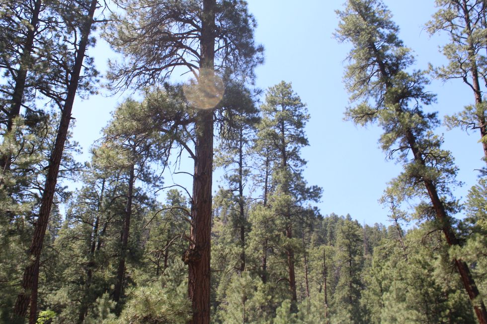 To The Boy In The Cafeteria