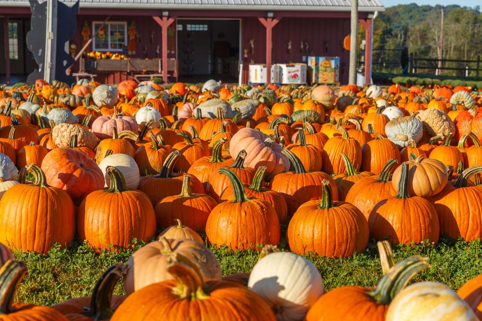 8 Signs You Know Fall Is On Its Way