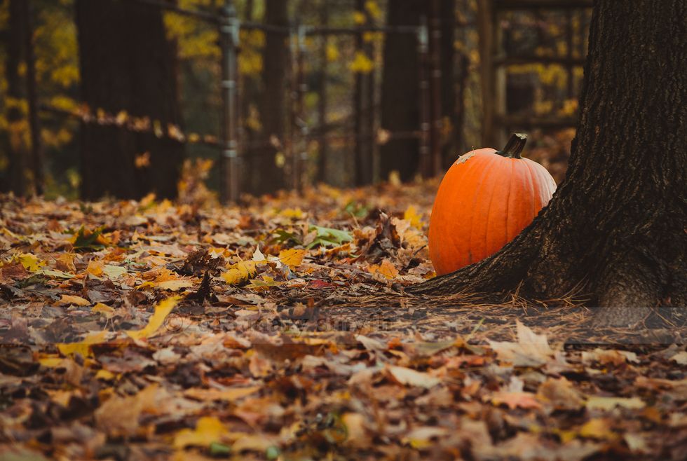 5 Things You Must Do This October
