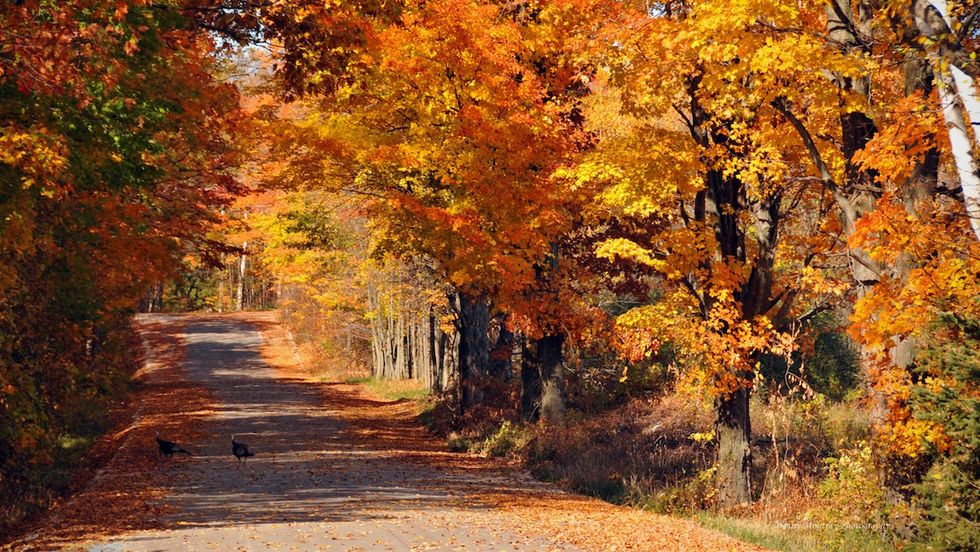 7 Non-Basic Reasons To Be Excited About Fall