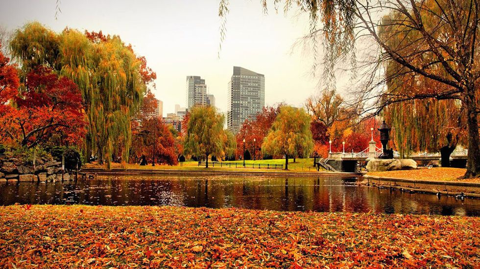 5 Things To Do In Boston This Fall