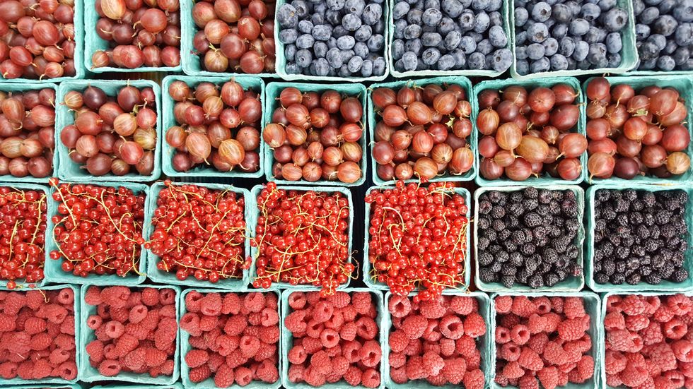 Ways To Stay Fresh And Local Throughout New York City