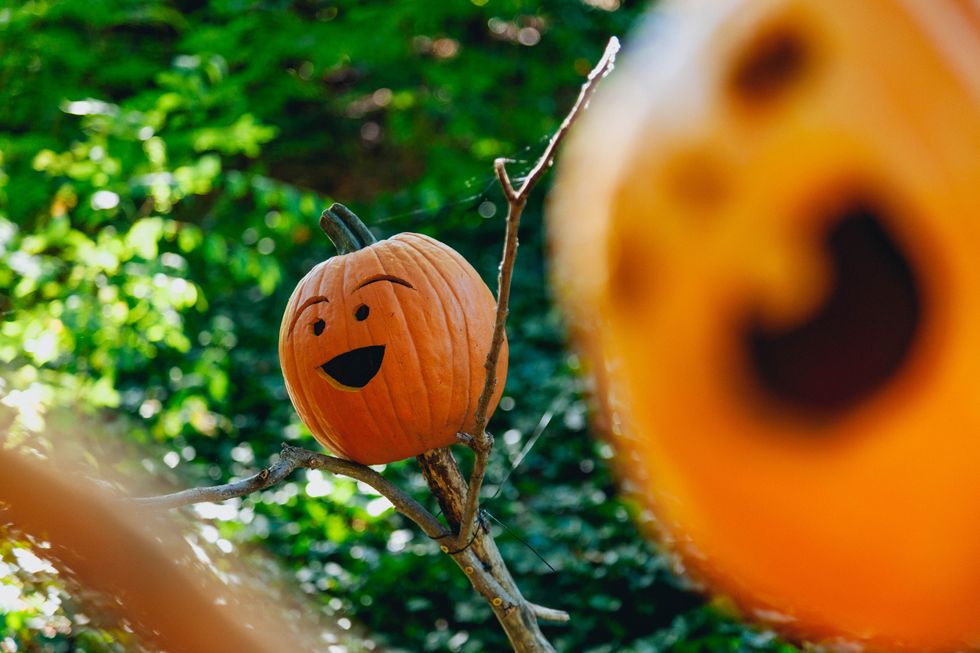10 Unique Ways To Carve Pumpkins As Told By Gifs