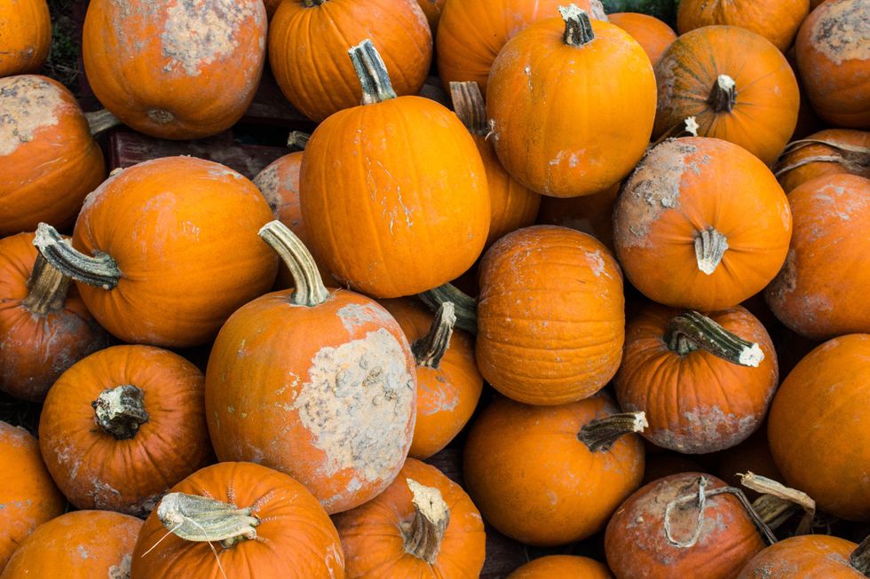 The 10 Best Things About October