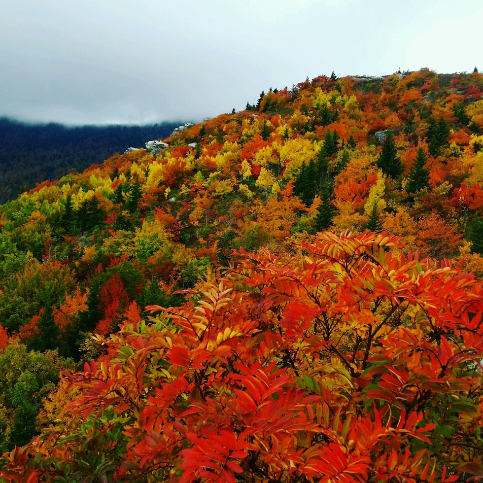 14 Photos That Show The Beauty Of Fall In The 828