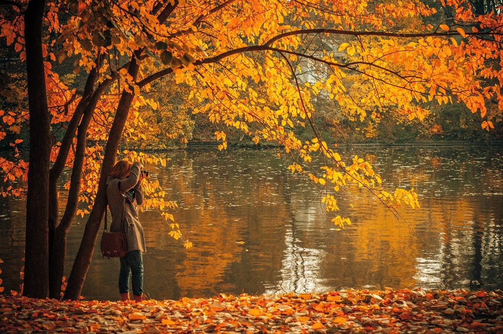 10 Things You Must Do During The Fall