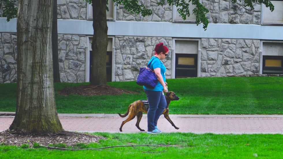 8 Thoughts College Girls Have When They See A Dog On Campus