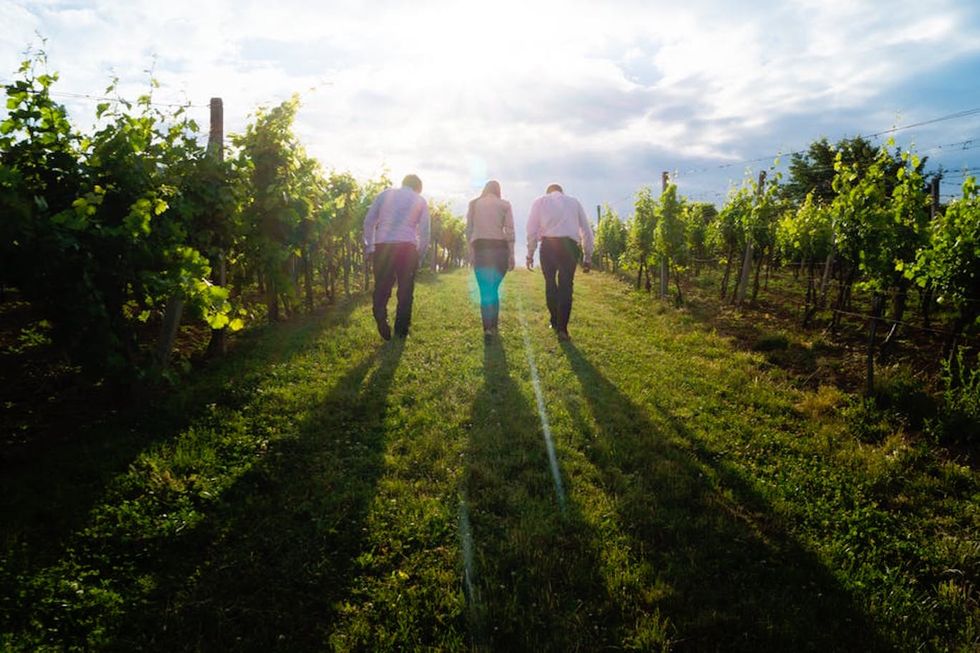 Why We All Need A Support System