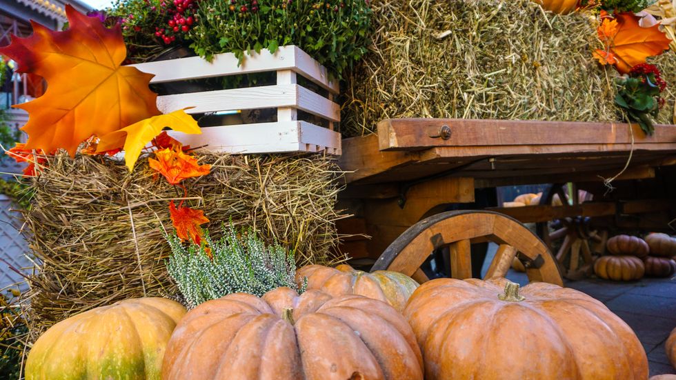 10 Ways To Make The Most Of This Fall Season
