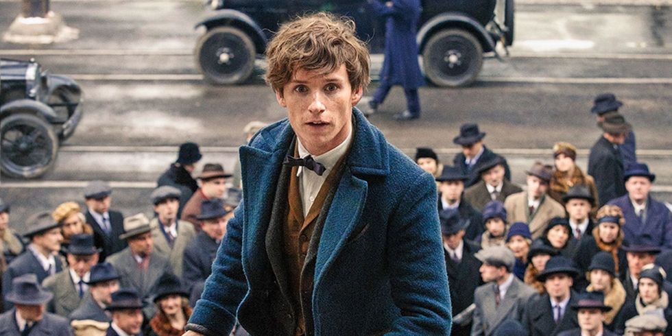 The Best Fantastic Beasts Theories