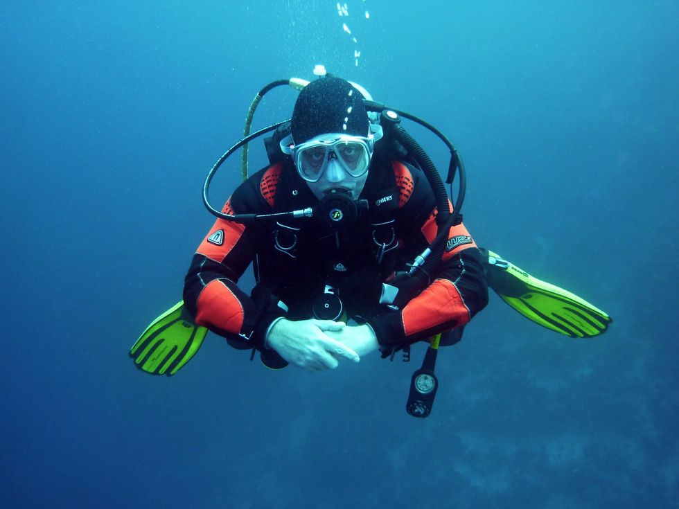 15 Under-The-Surface Signs You're A Marine Biologist