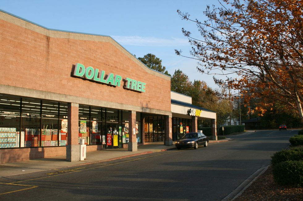 12 Reasons Why The Dollar Tree Is Worth It