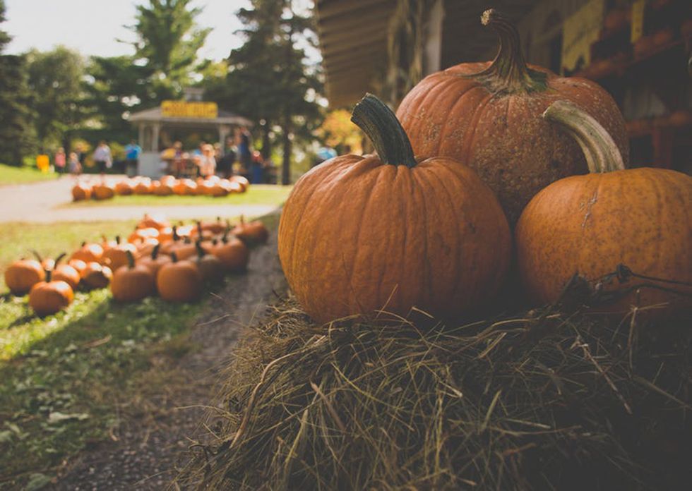 10 Festivities That Are Sure To Get You In The Fall Spirit