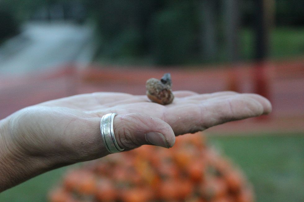 6 Fun Autumn Things to do with Your "Boo"