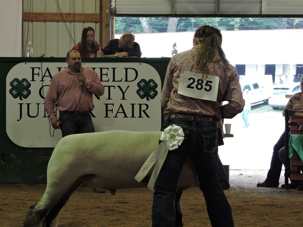 12 Truths For Anyone Who's Shown At The Fairfield County Fair