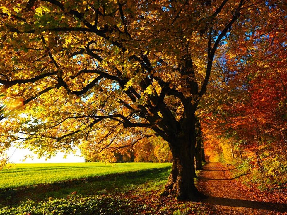 6 Reasons Why Fall Is The Superior Season
