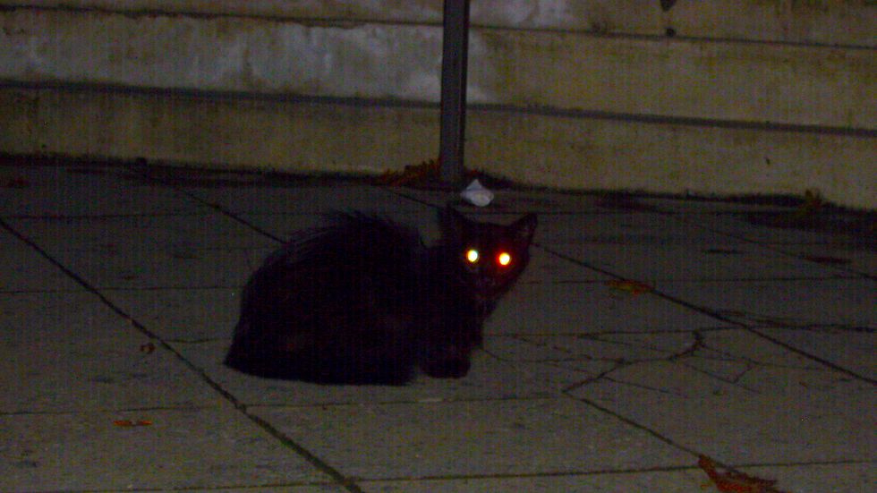 13 Reasons Why The Number 13 Is Considered Unlucky