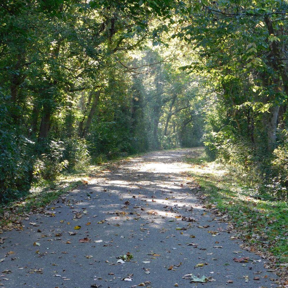 Why Not? Jumping Into The Realm Of Possibilities