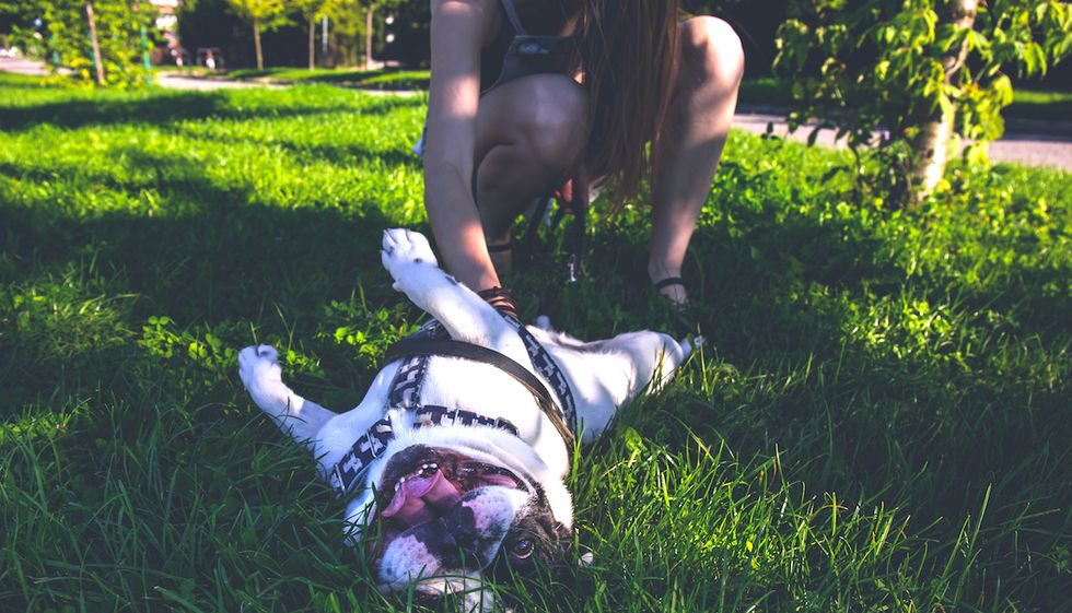 11 Ways For Guys To Tell If She Has A Dog In Her Life