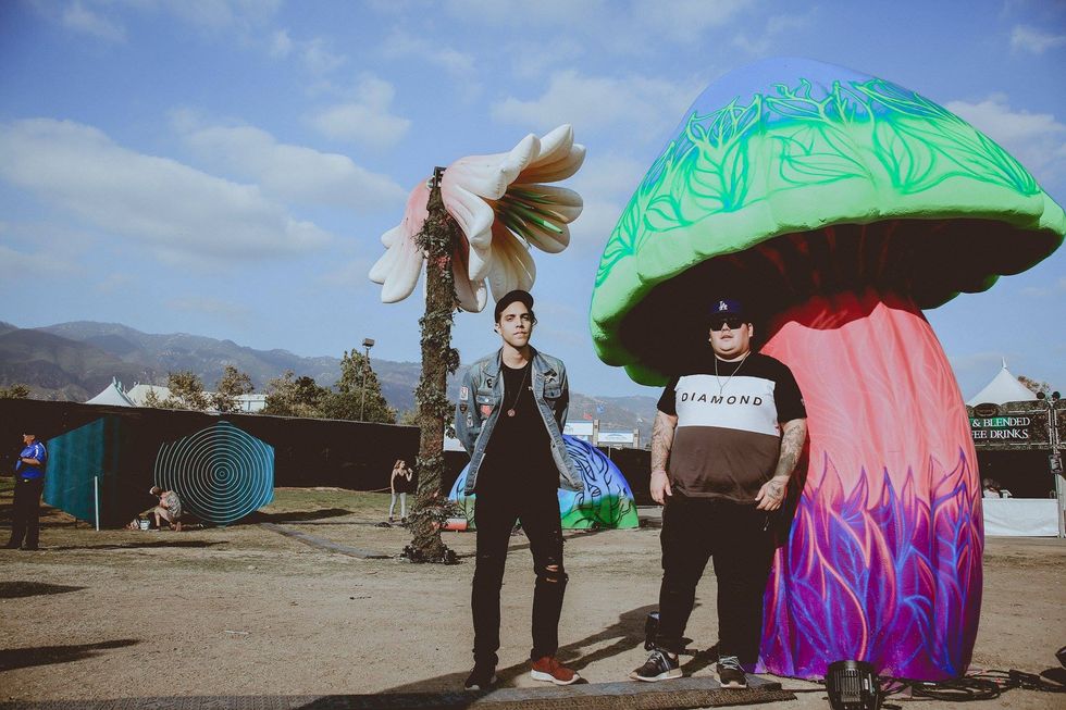 The Story Of Two Owls: The Dynamic Duality