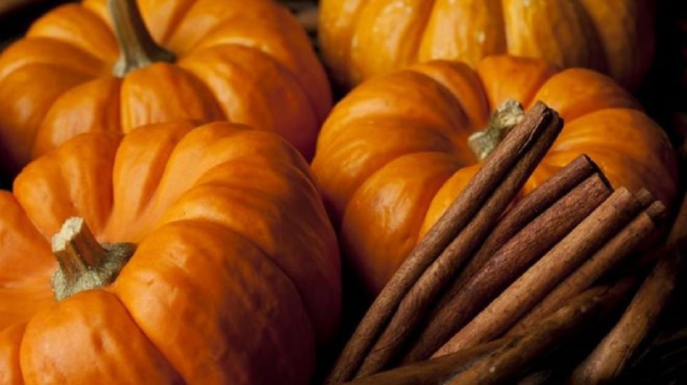 23 Pumpkin Recipies You Have To Try This Season