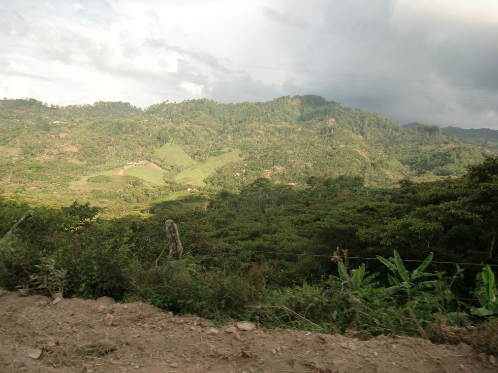 The Writer's Journey (A Poem)