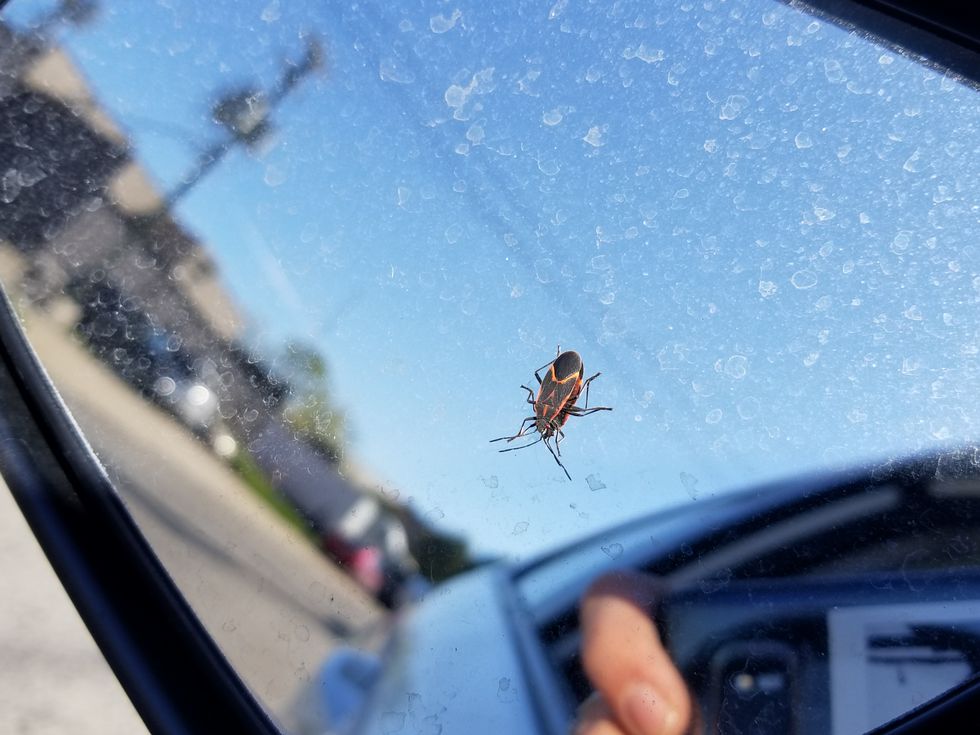 11 Things I Would Like To Thank My Grandpa For