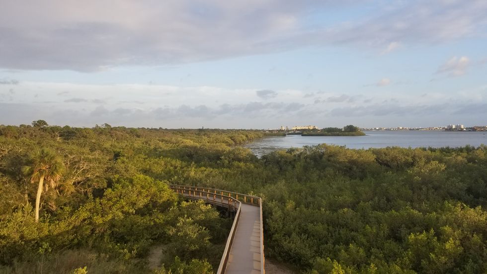 6 Reasons To Get Outside And Enjoy Nature Today