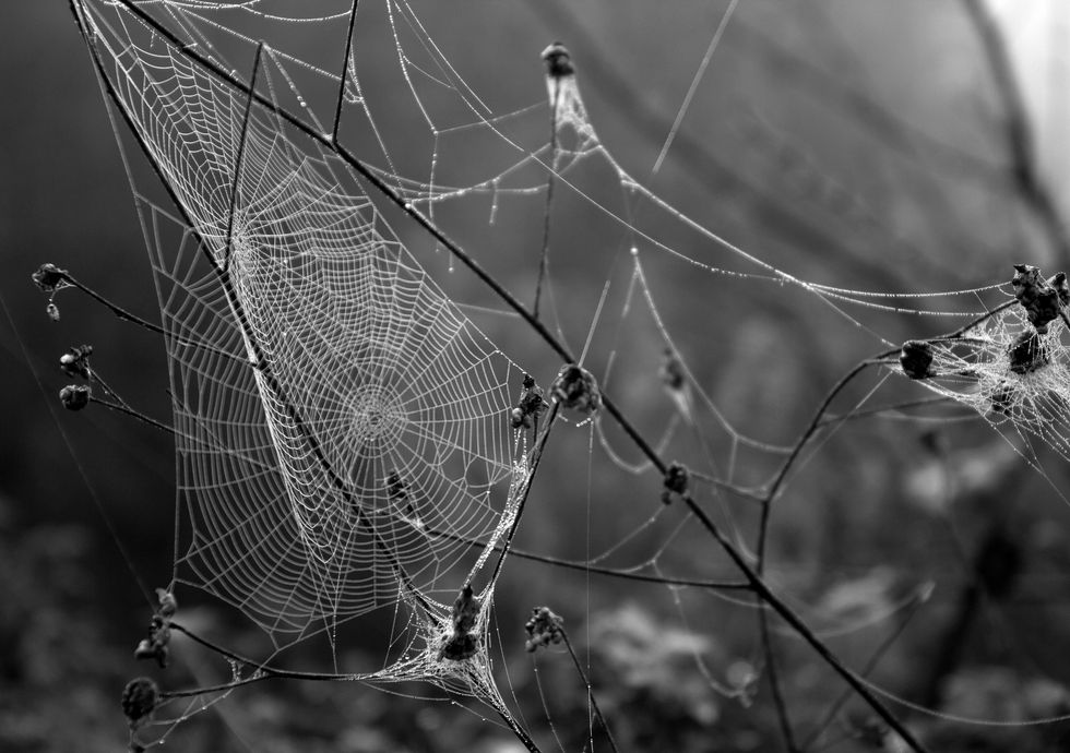 7 Simple Solutions To Surviving The 'Sunday Scaries'