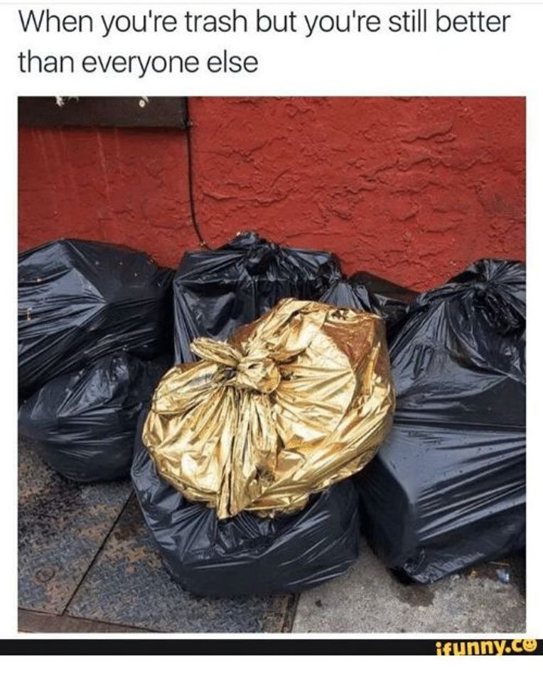 What Kind Of Trash Bag Are You Based On Your Zodiac Sign?